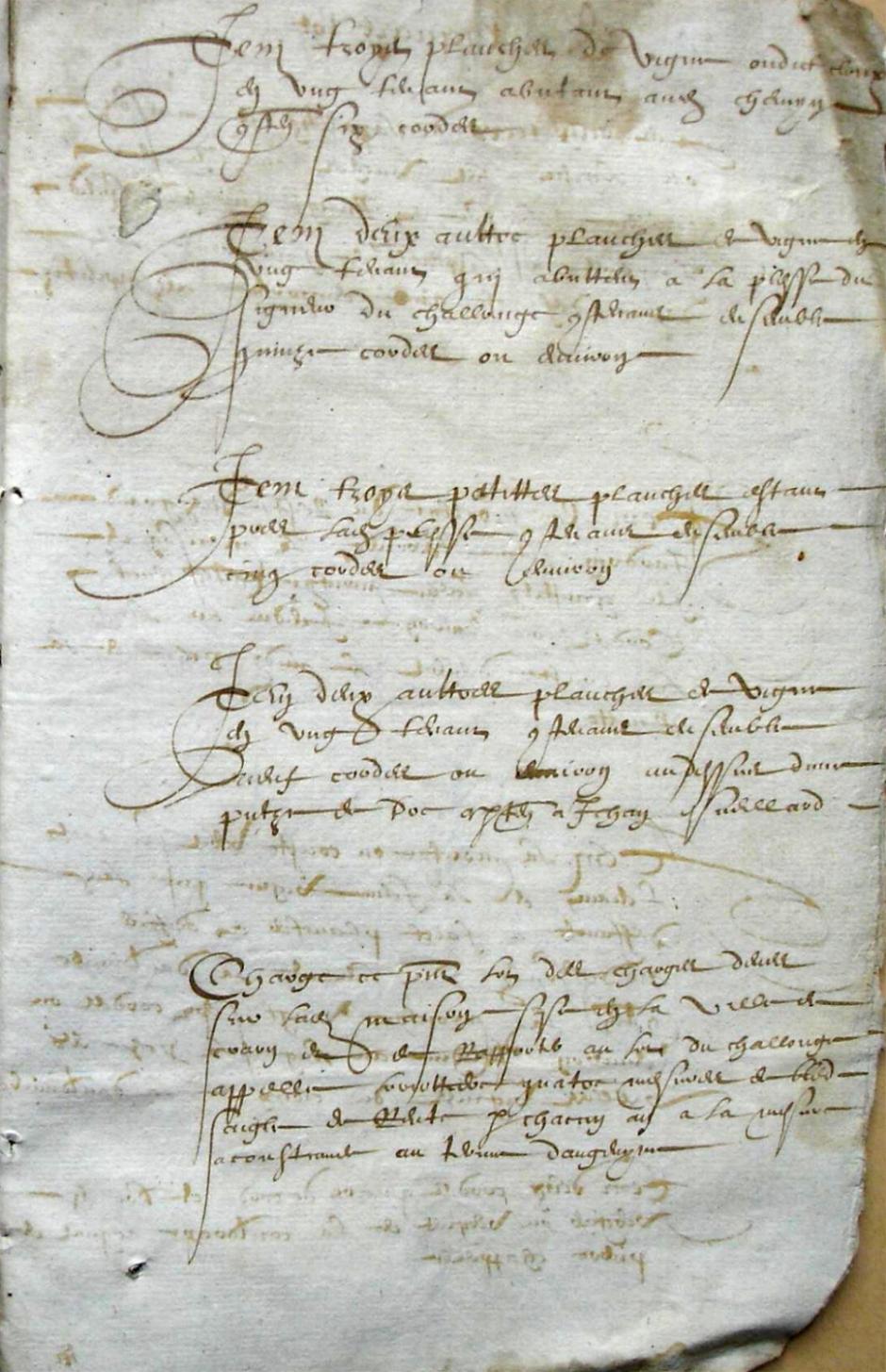 Thieurine_1589 (11).JPG